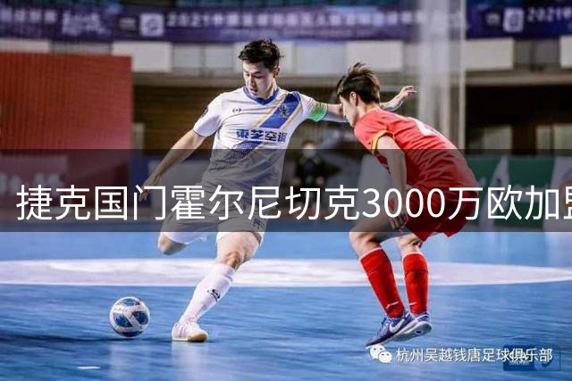 捷克国门霍尔尼切克3000万欧加盟纽卡 将成波普接班人
