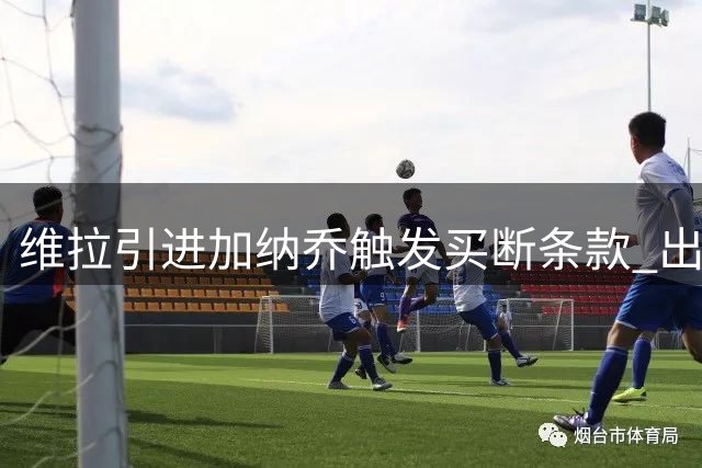 维拉引进加纳乔触发买断条款 出场次数成关键指标