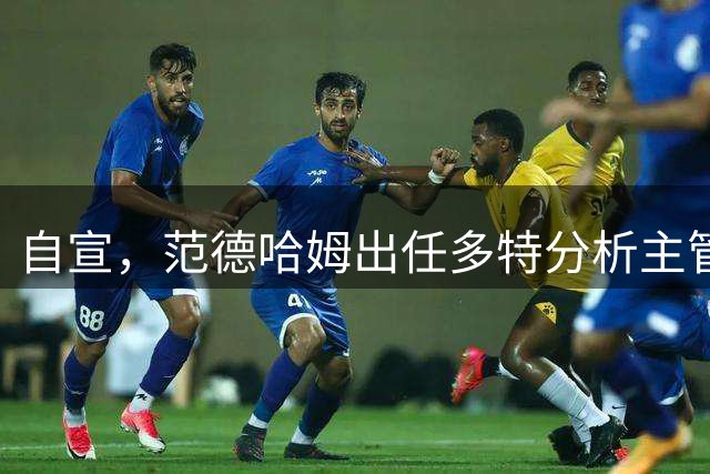 自宣，范德哈姆出任多特分析主管，他曾在利物浦任职
